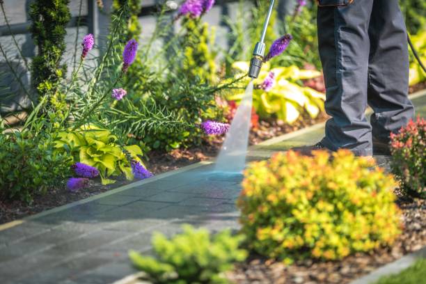 Best Parking Lot and Garage Cleaning  in Leesburg, FL