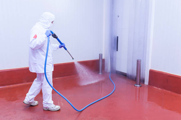 Best Roof Washing  in Leesburg, FL